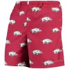 "Men's Columbia PFG Cardinal Arkansas Razorbacks Backcast II 8"" Omni-Shade Hybrid Shorts"