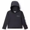 Toddler Boy Columbia Fork Steam Pullover Hoodie